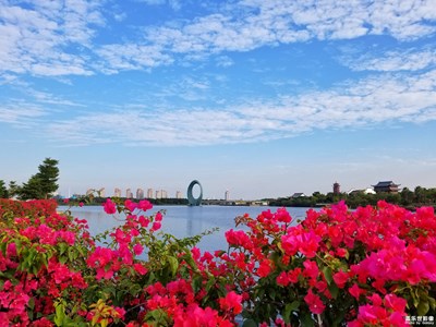 【迎春萬像】+百花迎春