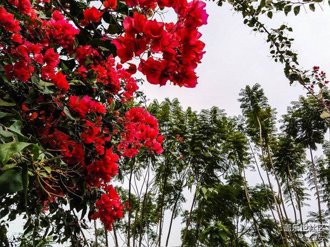 【A6s星粉體驗團】三星A6s，一款顏值和拍照都能打的中端機