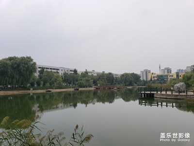 【迎春萬象】+初春