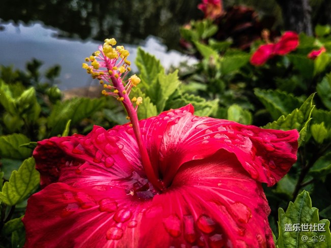 【A6s星粉體驗團】三星A6s，一款顏值和拍照都能打的中端機