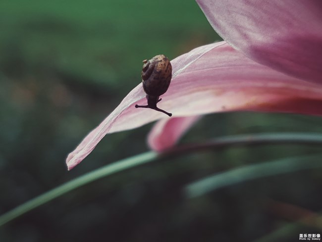 【旅行】@小蝸牛