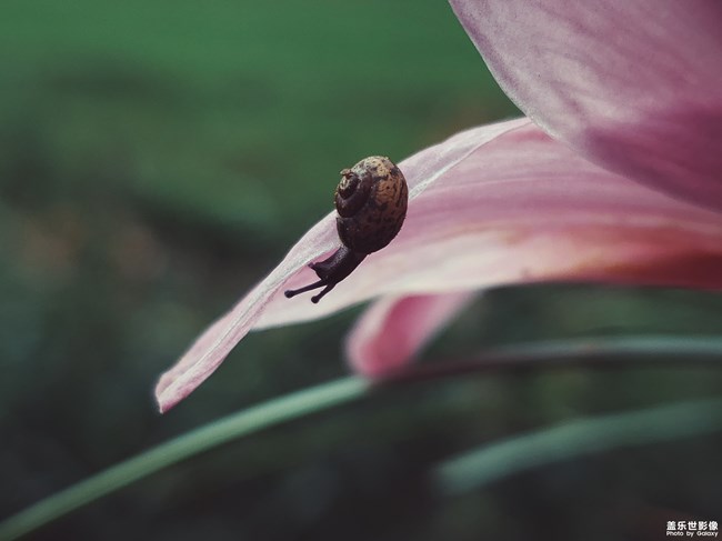 【旅行】@小蝸牛