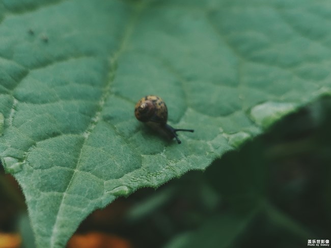【旅行】@小蝸牛