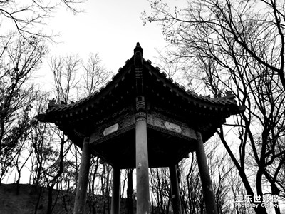 炮臺山公園隨手拍