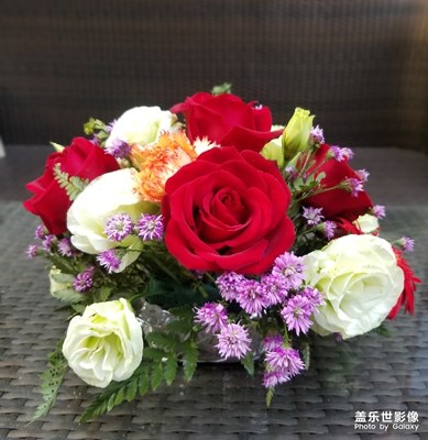 【迎春萬(wàn)象】+小花