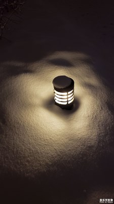 【迎春萬像】+一場瑞雪