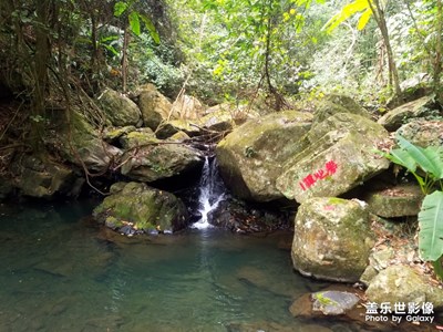 野人溝第一部分