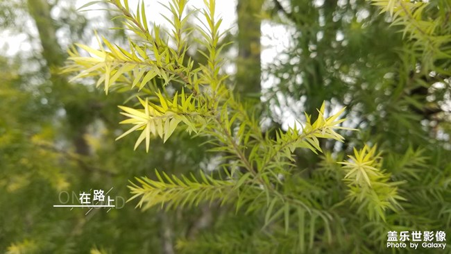 2019最美風(fēng)景就在身邊的路上