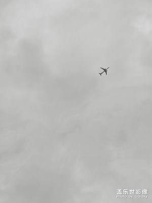 S8+【海珠湖隨拍】