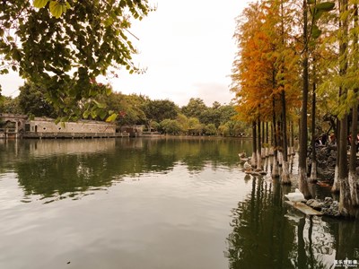 【色彩】A6s游園日記