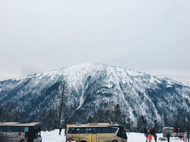 紛紛瑞雪落人間 雪鄉(xiāng)迎“星”年 紛紛瑞雪落人間 雪鄉(xiāng)迎“星”年