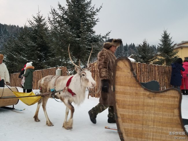 紛紛瑞雪落人間 雪鄉(xiāng)迎“星”年 紛紛瑞雪落人間 雪鄉(xiāng)迎“星”年