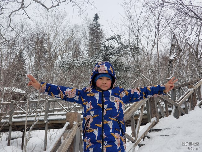 紛紛瑞雪落人間 雪鄉(xiāng)迎“星”年 紛紛瑞雪落人間 雪鄉(xiāng)迎“星”年