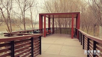 【色彩】+ 蕭瑟