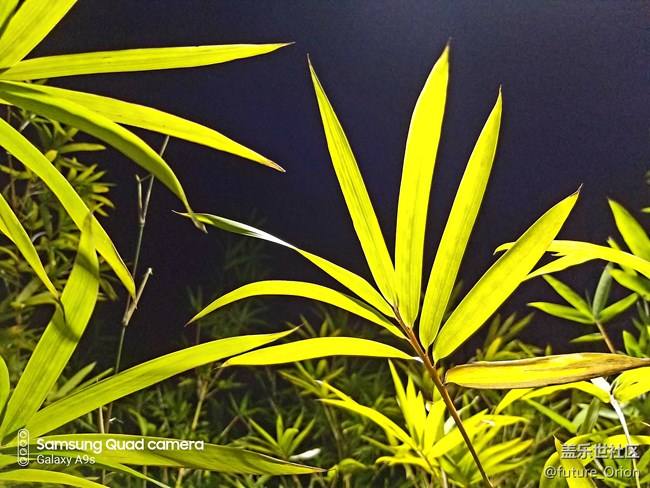 【A9s星粉體驗團】顛覆四攝咔咔咔～上手體驗