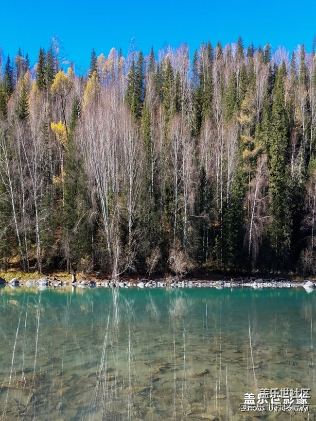 每周精帖匯【133期：春節(jié)模式開啟啦 祝大家小年快樂！】