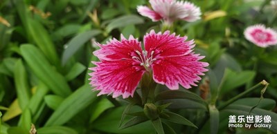 【春的暢想】+ 暖