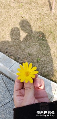 【春的暢想】＋隨手拍