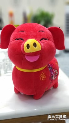 新年快樂，諸事大吉