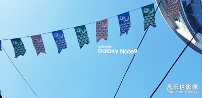 Note 9之鯉魚溪【一】