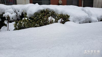 雪