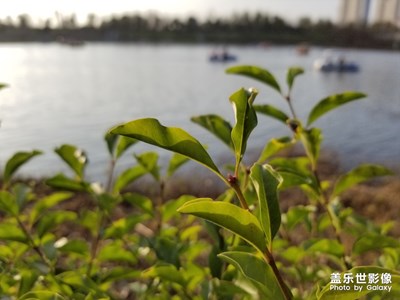 【這世界正美】+撫州三翁花園