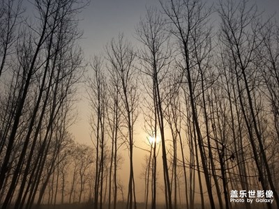 故鄉(xiāng)的原風景