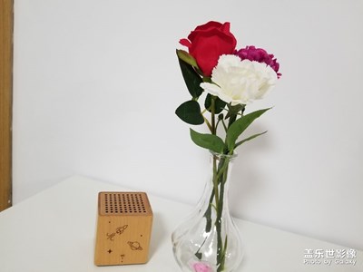 春，原來一直都在……