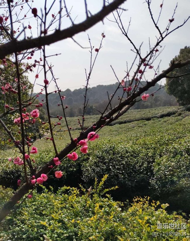 【曬出我的年味兒】-我與三星S9+的故事