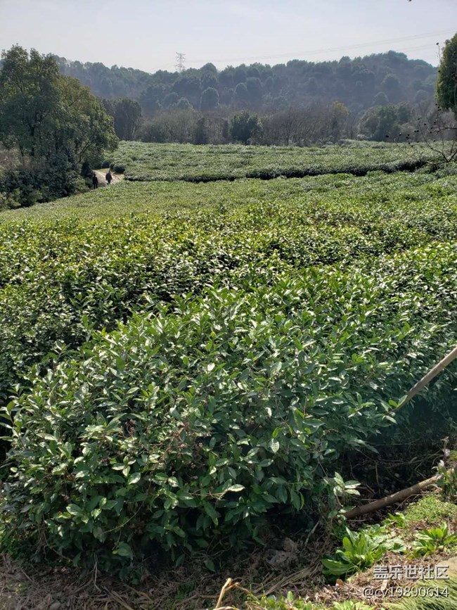 【曬出我的年味兒】-我與三星S9+的故事