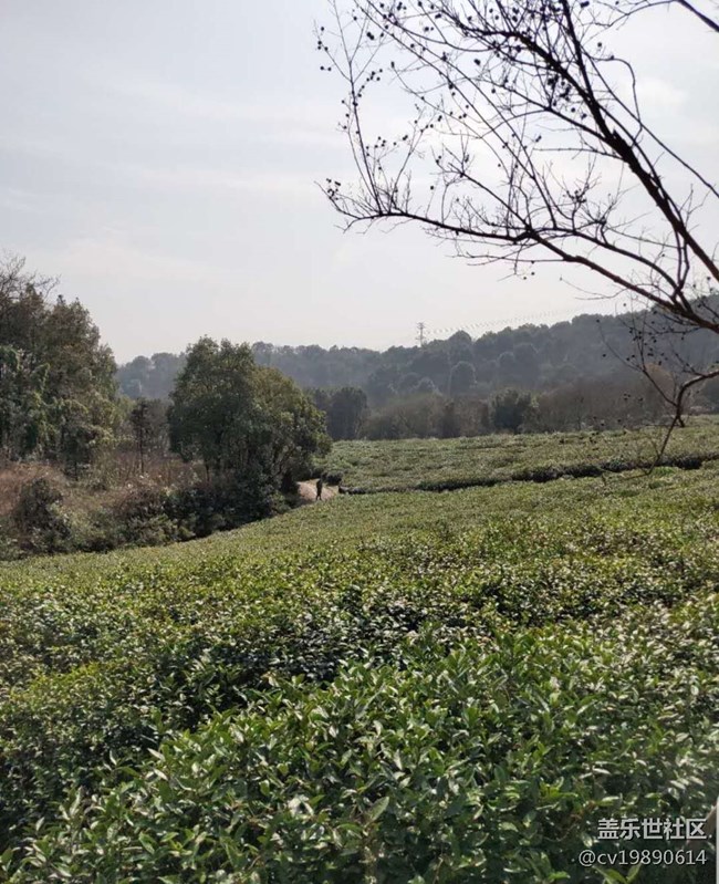 【曬出我的年味兒】-我與三星S9+的故事