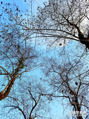 【這世界正美】+春光明媚