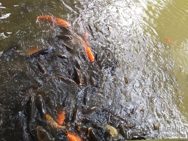 S輕奢相機(jī)拍照