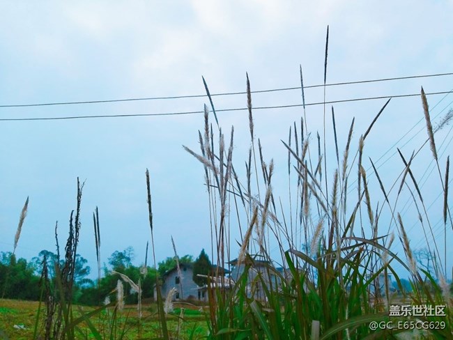 S輕奢相機(jī)拍照