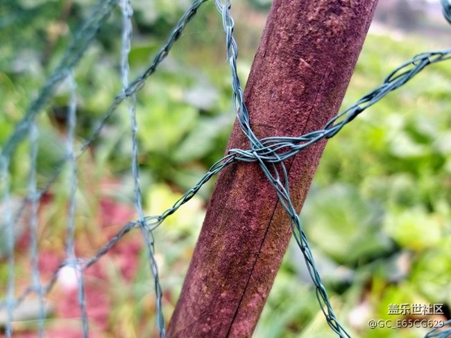 S輕奢相機(jī)拍照