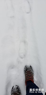 白*人節(jié)-我與社區(qū)一起走過(guò)