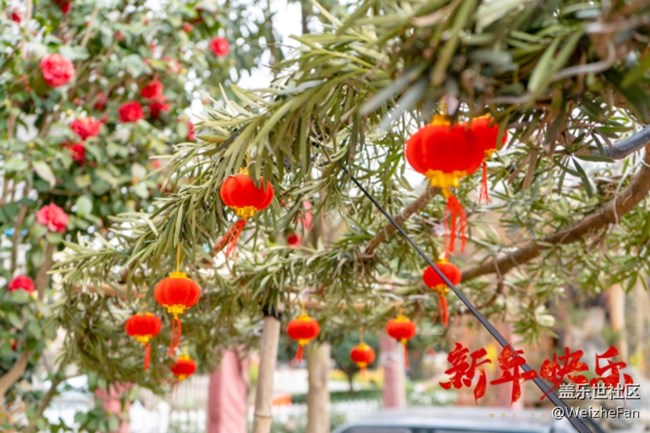 【曬出我的年味】-新年快樂(lè)