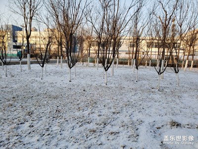 【這世界正美】+初春的清晨