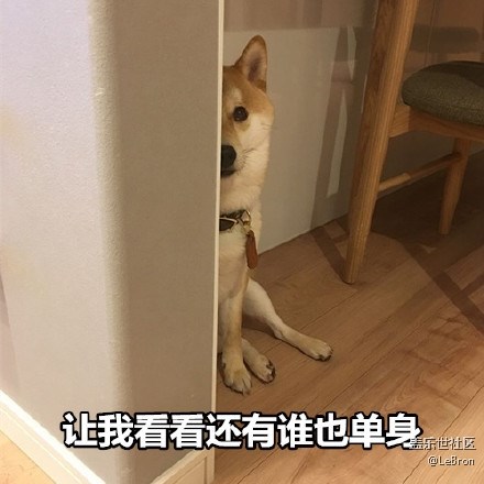 【2019情人節(jié)】放過單身狗可好