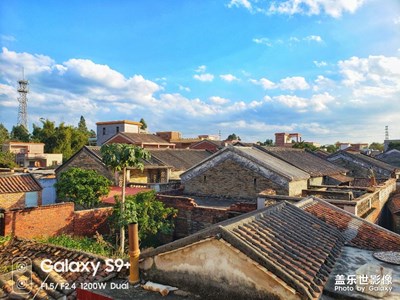 2019春節(jié)期間所行.所見