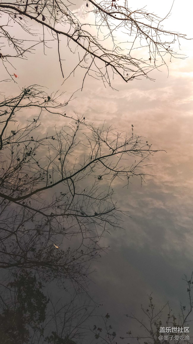 黑瞳全視屏-三星A8s攝影評測