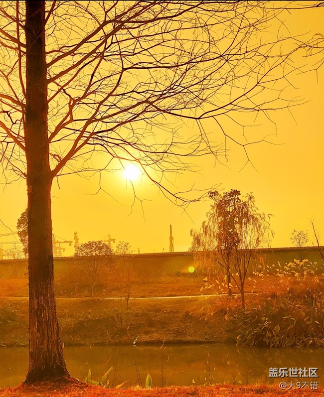 【曬出我的年味兒】過年路邊隨便拍拍