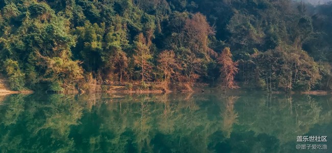 黑瞳全視屏-三星A8s攝影評測