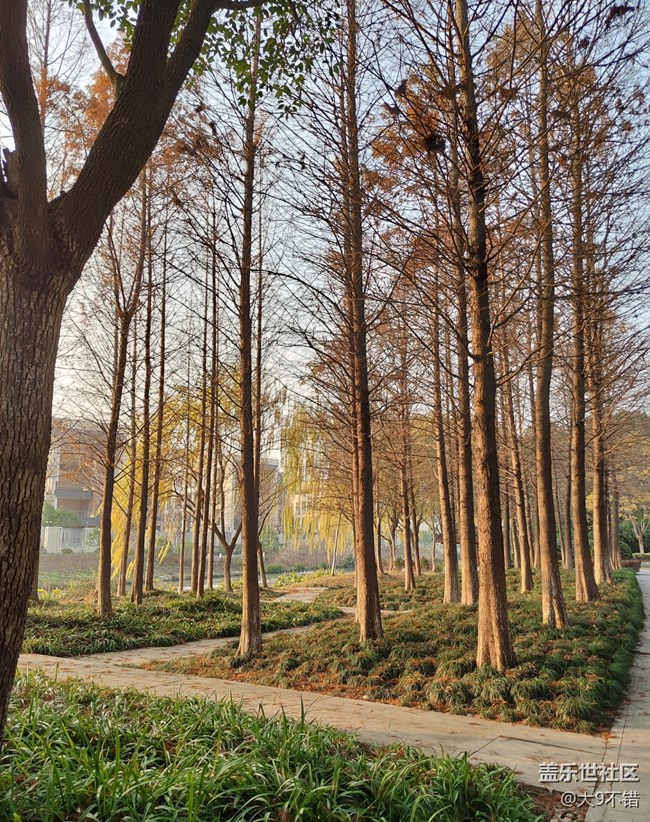 【曬出我的年味兒】過年隨便拍拍