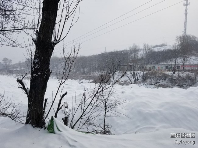 下雪后的運(yùn)動