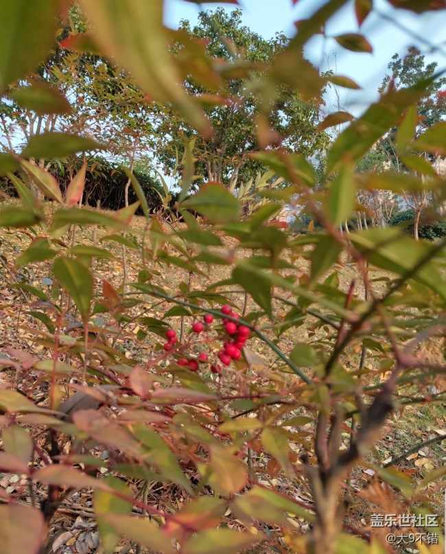 【曬出我的年味兒】過年隨便拍拍