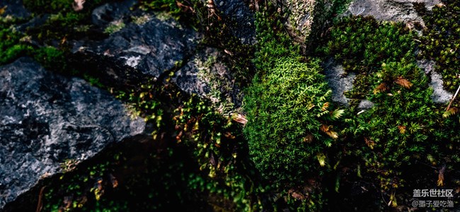 黑瞳全視屏-三星A8s攝影評測