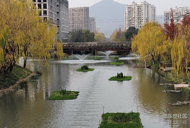 【曬出我的年味兒】過年路邊隨便拍拍