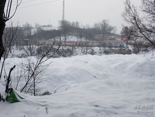 下雪后的運(yùn)動