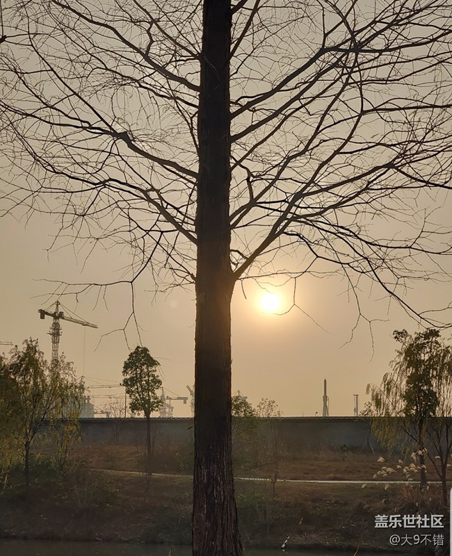 【曬出我的年味兒】過年路邊隨便拍拍
